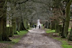 Strolling... Wallpaper