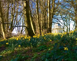 The Temple of Ninerva Hardwick Park, Sedgefield Wallpaper