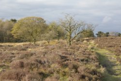 Gun Hill above Meerbrook, Staffordshire Moorlands Wallpaper