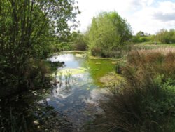 new pond,kings collage playing feilds Wallpaper