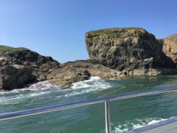 Ramsey Island, off St. David's Haverfordwest, Pembrockshire. Wallpaper