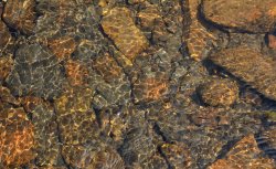 River Goyt at Derbyshire Bridge near Buxton Derbyshire Wallpaper