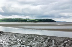 Estuary Laugharne, Carmarthen Wallpaper