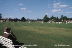 Village Cricket Match, Badminton, Gloucestershire 1984 Wallpaper