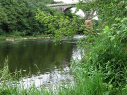 River Eden, Wetheral, Cumbria Wallpaper