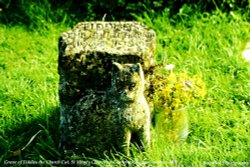 Tiddles the Church Cat Grave, St Mary's Churchyard, Fairford, Gloucestershire 2002