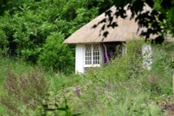 Glendurgan Gardens Wallpaper