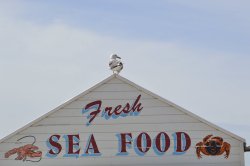 'Sea Food', Weston-Super-Mare