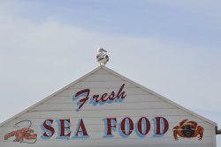 'Sea Food', Weston-Super-Mare Wallpaper