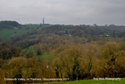 Ozleworth Valley, nr Tresham, Gloucestershire 2017 Wallpaper