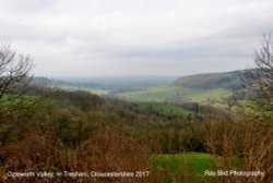 Ozleworth Valley, nr Tresham, Gloucestershire 2017