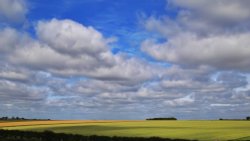 Beautiful field on the walk to the free National Trust viewpoint of Stonehenge Wallpaper