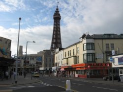 Love it,  hate it. Wallpaper