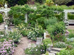 Rose Garden Wallpaper