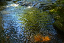 Clough Brook near Wildboarclough, Cheshire Wallpaper