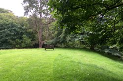 A seat to relax and admire the view, Bishops Park, Bishop Auckland. Wallpaper