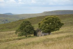 Derelict Cottage at Gib Tor near Flash, Staffordshire Moorlands Wallpaper
