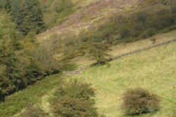 Moorland Gate near Flash, Staffordshire Moorlands Wallpaper