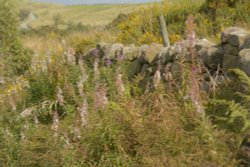 Roadside near Flash, Staffordshire Wallpaper