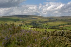 Farmland above Hollinsclough, Staffordshire Moorlands Wallpaper