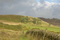 Moorland Copse by The Roaches, Staffordshire Moorlands Wallpaper