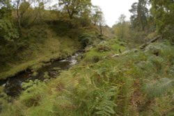 Upper Goyt Valley below Goy's Moss near Buxton, Derbyshire Wallpaper