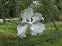 YORKSHIRE SCULPTURE PARK Wallpaper