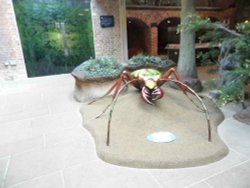 CLUMBER PARK Wallpaper