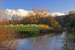 Shllingstone, Dorset. Wallpaper