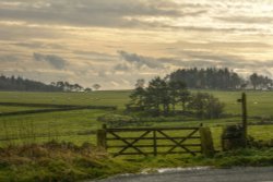 Farm Gate at Gun Hill above Meerbrook, Staffordshire Moorlands Wallpaper