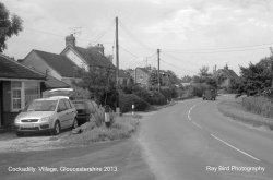 Cockadilly, nr Nympsfield, Gloucestershire 2013 Wallpaper