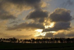 Treeline above Meerbrook, Staffordshire Moorlands Wallpaper