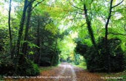 The Old Coach Road, The Verge Wood, Badminton, Gloucestershire 2015 Wallpaper