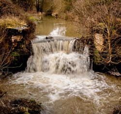 Louth Canal Wallpaper