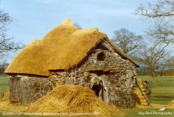 Hermits Cell (being rethatched), Badminton, Gloucestershire 1995 Wallpaper
