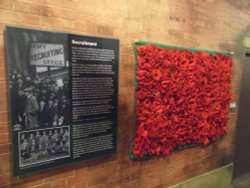 MUSEUM EXHIBITS Wallpaper