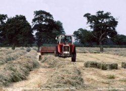 Farming, Acton Turville, Gloucestershire 1983 Wallpaper