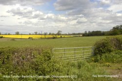 Acton Turville Countryside, Gloucestershire 2012 Wallpaper