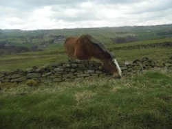 PEAK DISTRICT NATIONAL PARK Wallpaper