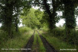 Old Lane, Littleton Drew, Wiltshire 2011 Wallpaper