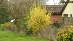 Laxfield foot path walks Wallpaper