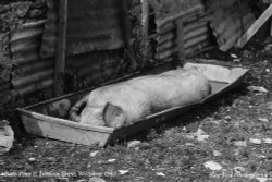 Bathtime !! Littleton Drew, Wiltshire 1983 Wallpaper