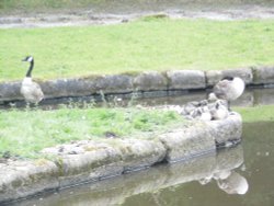 BUGSWORTH BASIN Wallpaper