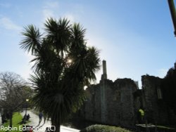 Sunny day in Christchurch Wallpaper