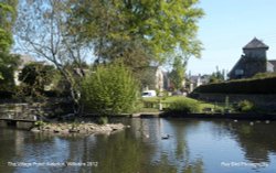 The Village Pond, Alderton, Wiltshire 2012