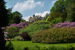 Scotney House Wallpaper