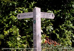 Cotswold Way Signpost, Old Sodbury, Gloucestershire 2011 Wallpaper
