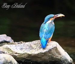 Hyndburn, Accrington Wallpaper