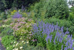 Herbaceous Border, Salutation Garden Wallpaper
