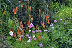 Salutation Garden, Sandwich Wallpaper